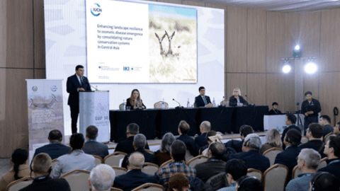 Central Asia launches &euro;11mn 'One Health' initiative to combat zoonotic diseases&nbsp;
