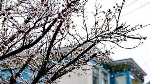 O&lsquo;zbekistonning ayrim hududlarida 16-fevral kuni yomg&lsquo;ir yog&lsquo;ib, qorga aylanishi mumkin