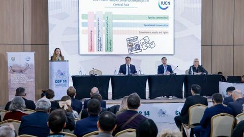 В Центральной Азии стартовал проект &laquo;Единое здоровье&raquo;