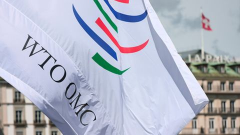 O&lsquo;zbekistonda 5 ta qonun JST bitimlariga uyg&lsquo;unlashtirildi