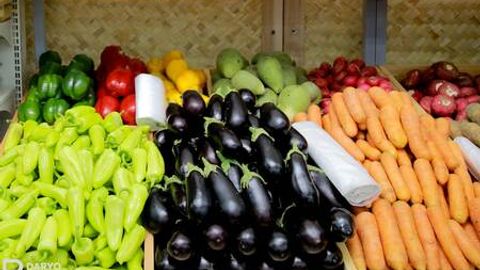 Oziq-ovqat mahsulotini eksport qiluvchilarga moliyaviy resurslar ajratiladi