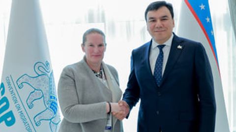 Uzbekistan explores establishment of transboundary protected areas&nbsp;