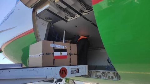 Egypt delivers fourth batch of anti-hepatitis C drugs to Uzbekistan