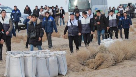 Orol dengizi tubida 2024-yili jami 150-200 ming gektar o&lsquo;rmonzorlar barpo qilish rejalashtirilgan