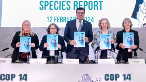 Samarkand CMS COP14 presents report on migratory species status and rescue strategies&nbsp;