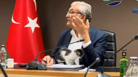 Turkiyada mushukcha majlisda nutq so&lsquo;zlayotgan siyosatchining ustiga chiqib oldi (video)