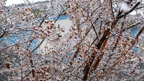 O&lsquo;zbekistonning aksariyat hududlarida 28-fevral kuni yomg&lsquo;ir, qor yog&lsquo;ishi kutilmoqda