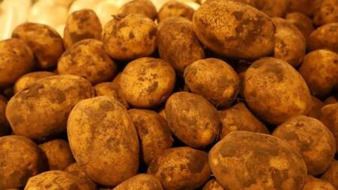 Kazakhstan potato exports spike by 70% in 2023