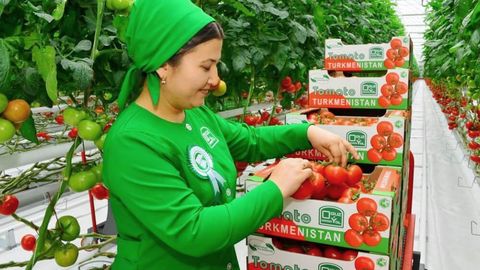 World Bank assesses Turkmenistan's agribusiness export potential&nbsp;