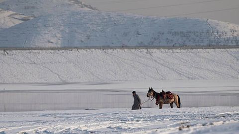 Over 1,000 livestock dies from severe cold in Afghanistan