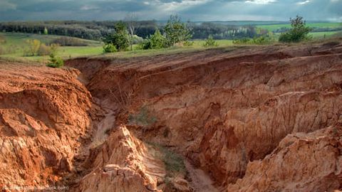 Land degradation in Central Asia reaches 80 mn hectares, UNCCD warns&nbsp;