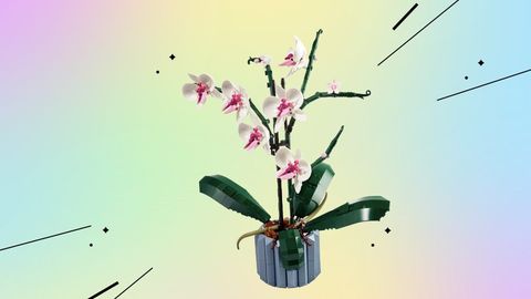 8-martga qanday sovg&lsquo;a tanlash kerak? Erkaklarga asqatadigan tavsiyalar&nbsp;