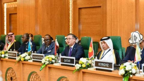 Kazakhstan proposes humanitarian aid in OIC meeting on Palestinian-Israeli crisis&nbsp;