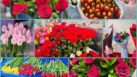 Насколько выросли цены на цветы в Ташкенте накануне 8 марта? Редакция Daryo провела расследование&nbsp;