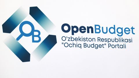 &ldquo;Ташаббусли бюджет&rdquo;га овоз бериш техник носозлик сабаб вақтинча тўхтатилди