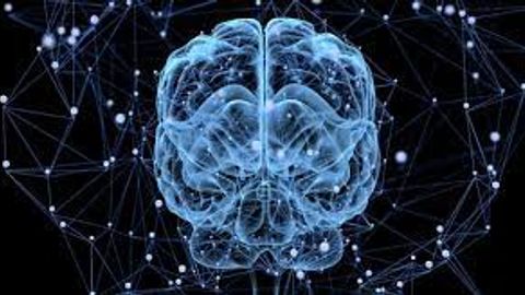 Uzbekistan sees increase in demand for neural network specialists in 2024 -&nbsp;HeadHunter