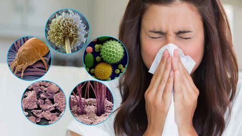 Allergik yo&lsquo;tal oddiy yo&lsquo;taldan qanday farqlanadi?