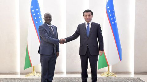 Gananing O&lsquo;zbekistondagi yangi elchisi tayinlandi