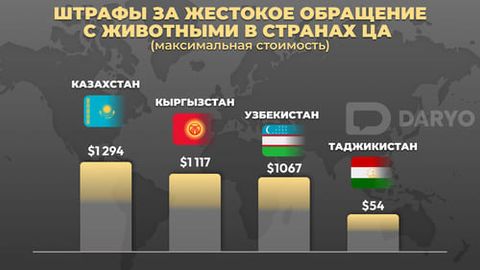 Какое наказание грозит за жестокое обращение с животными в Центральной Азии&nbsp;
