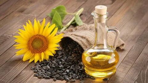 Сняты ограничения на экспорт подсолнечного и растительного масел