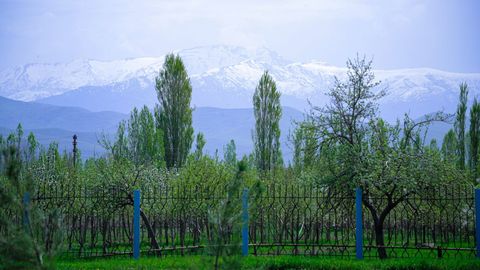 O&lsquo;zbekistonda 17-mart kuni havo harorati 25 darajagacha iliydi