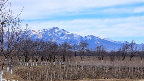 Ўзбекистоннинг айрим ҳудудларида 18 март куни ёмғир ёғади