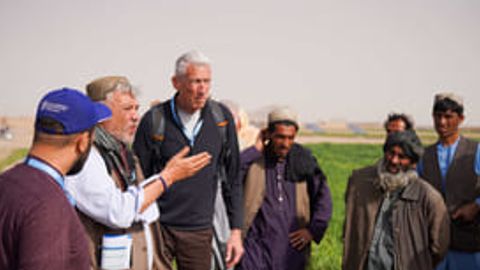 FAO reports improving food security in Afghanistan amidst ongoing instability&nbsp;