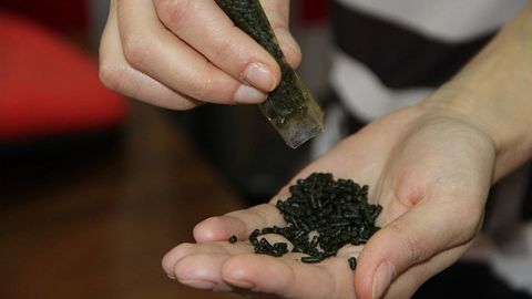 Қозоғистонда нос сотганлар жаримага тортилади