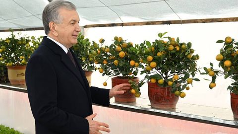 &nbsp;Prezident eʼtirof etgan Sayxunobod tajribasi qanday ishlaydi?