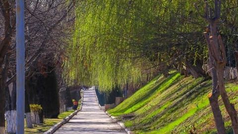 &ldquo;O&lsquo;zgidromet&rdquo; hafta oxirida kuzatiladigan ob-havo prognozini e&rsquo;lon qildi