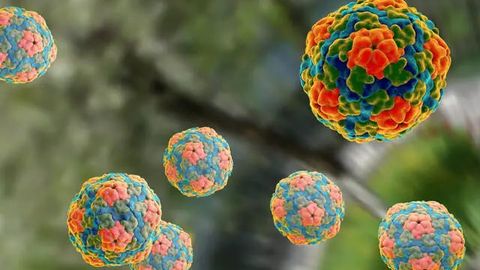 Kazakhstan reports increased number of hepatitis A infection&nbsp;