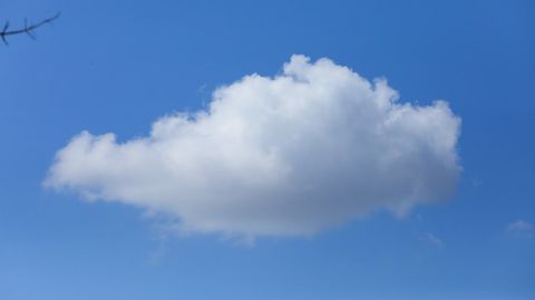 &ldquo;O&lsquo;zgidromet&rdquo; 30-mart kuni qanday ob-havo kutilayotganini ma&rsquo;lum qildi