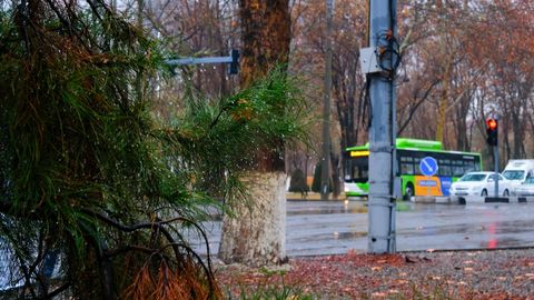 До 2030 года Узбекистан поэтапно разделят на экологические зоны