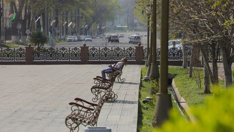 Ўзбекистонда ҳафта ўрталарида ҳарорат 25 даражагача кўтарилади