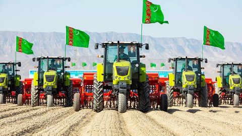 Туркменистан готовится к сбору урожая пшеницы&nbsp;