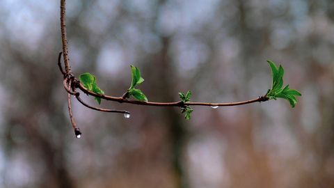 O&lsquo;zbekistonda 6-aprel kuni yomg&lsquo;ir yog&lsquo;ishi mumkin bo&lsquo;lgan hududlar ma&rsquo;lum qilindi