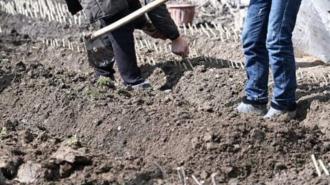 O&lsquo;zbekistonda yer olgan yoshlarga 100 mln so&lsquo;mgacha kredit ajratiladi&nbsp;