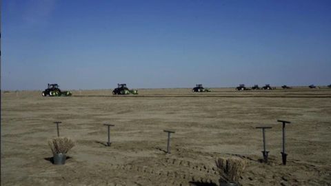 Kazakhstan launches saxaul planting campaign in Aral Sea region