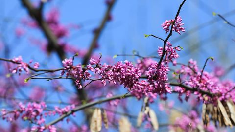 Ўзбекистонда Ҳайит байрами кунлари қандай об-ҳаво бўлиши маълум қилинди