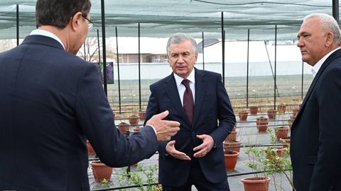 Шавкат Мирзиёев Зарбдордаги “Лалмикор” маҳалласига борди