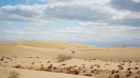 Central Asian dust levels escalate by 7% in over 30 years amidst Aral Sea drought&nbsp;