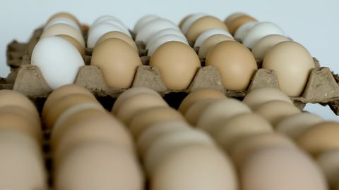 Казахстан вводит временный запрет на ввоз куриных яиц&nbsp;