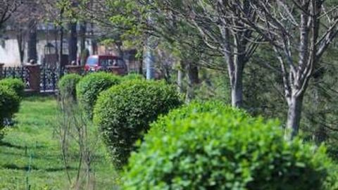 O&lsquo;zbekistonda 2-may kuni 32 darajagacha issiq bo&lsquo;ladi