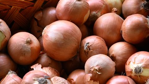 Цены на лук в Узбекистане и Таджикистане достигли рекордно низкого уровня &ndash; East Fruit&nbsp;