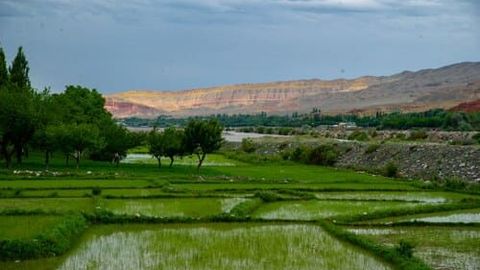 “Ўзгидромет” 11 май куни ёмғир ёғиши эҳтимоли бор ҳудудларни маълум қилди