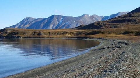 Арктикада хусусий участка 300 миллион еврога сотилмоқда