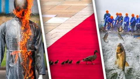 Dengiz ostidagi harbiy muzey, Xitoy raisini &ldquo;kutgani chiqqan&rdquo; o&lsquo;rdak, loyga belangan mashinalar &mdash; hafta suratlari&nbsp;