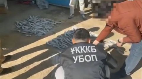 Группа предполагаемых браконьеров задержана в Казахстане