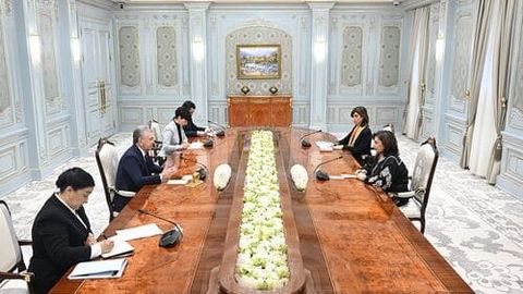 Ўзбекистонда “БМТ-аёллар” тузилмасининг ваколатхонаси очилиши мумкин