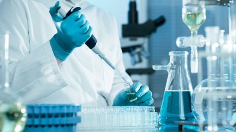 Turkmenistan to establish bio-industry sector with biotechnology development program&nbsp;